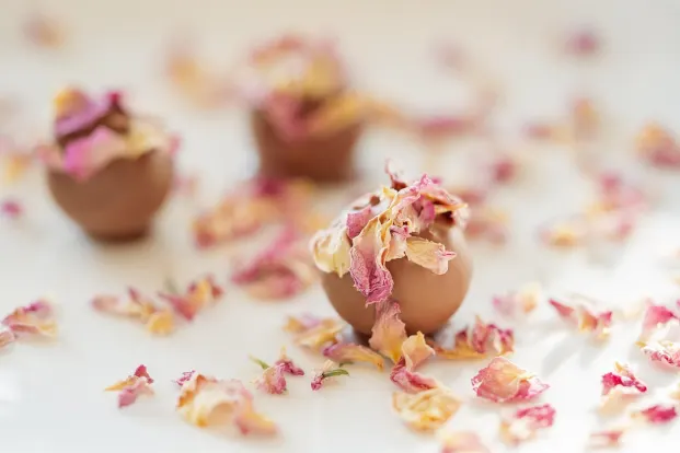 Кристъл Казино Android/iOS приложение