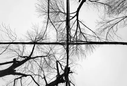 Кристъл Казино Мобилно приложение